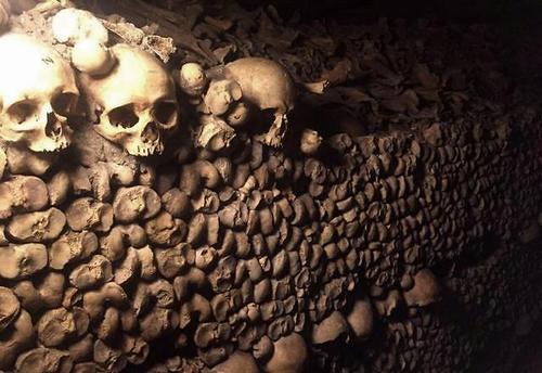 波兰发现超10吨人类骨灰